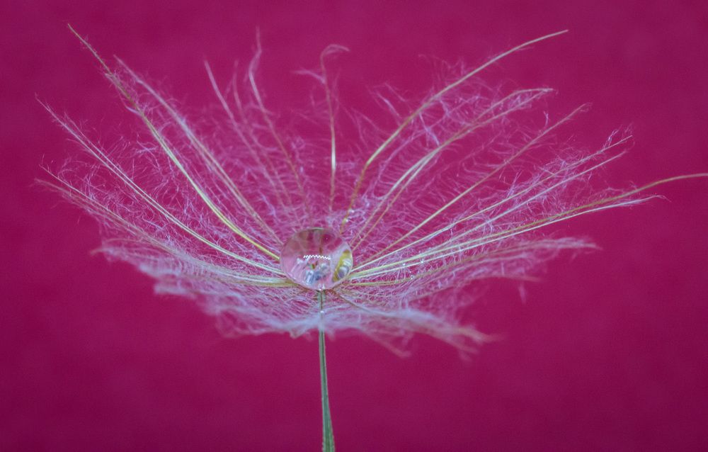 Photograph by Lanie Badenhorst