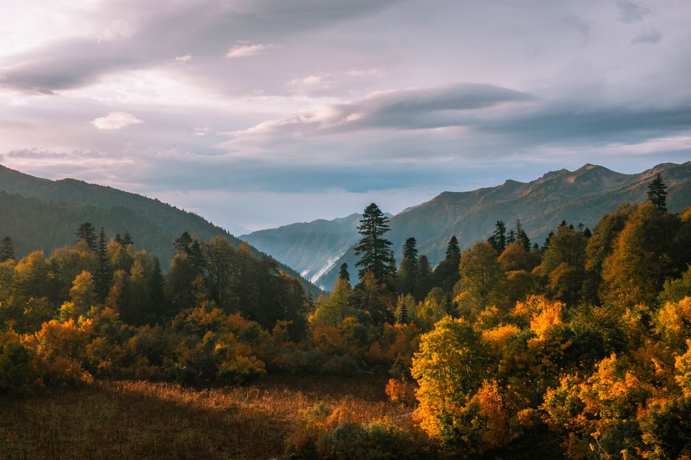 Осеннее утро