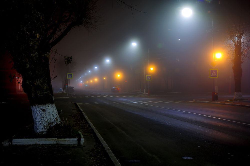 Фотография автора 
