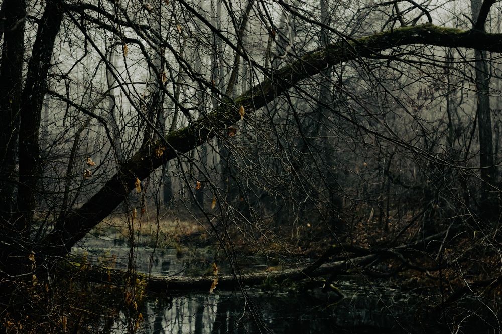 Photograph by Александр Казак