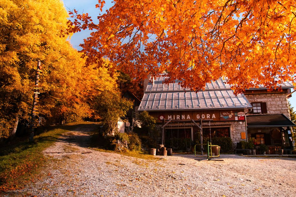 Photograph by Uroš Novina