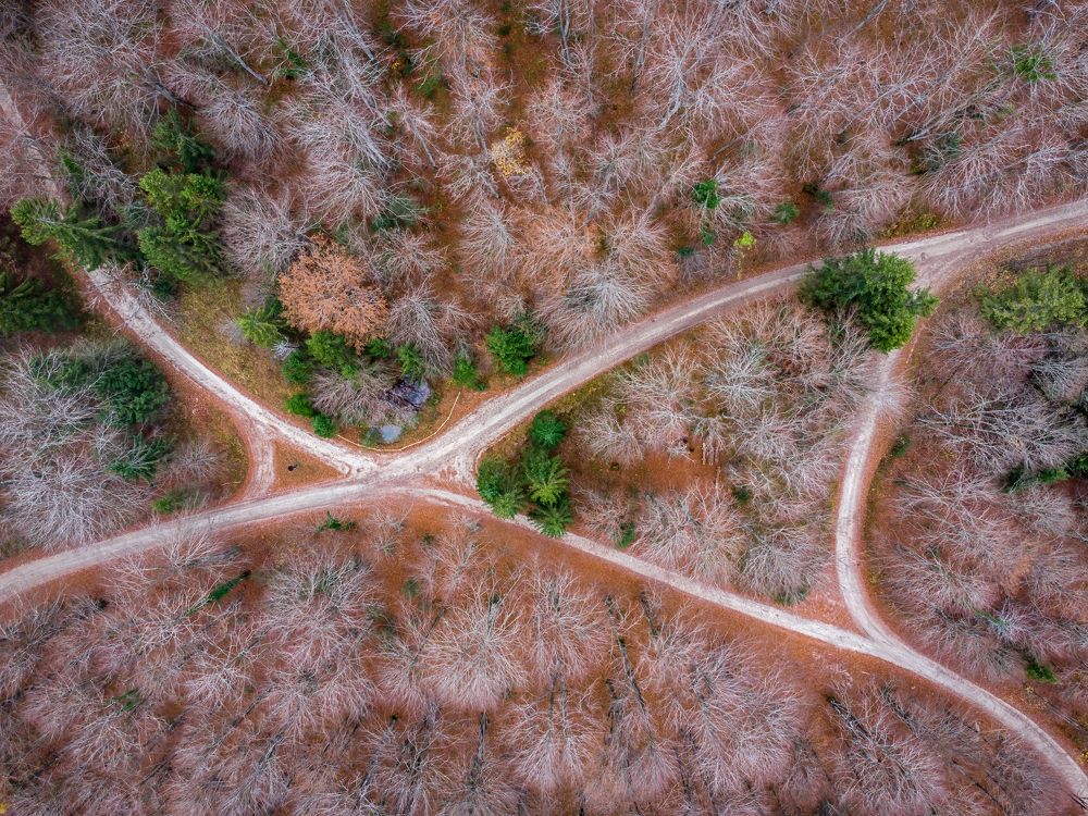 Photograph by Uroš Novina