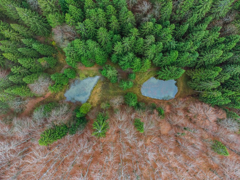 Photograph by Uroš Novina