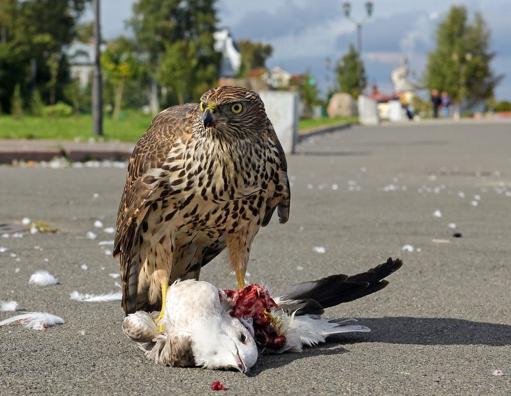 Photograph by Сергей Иванов