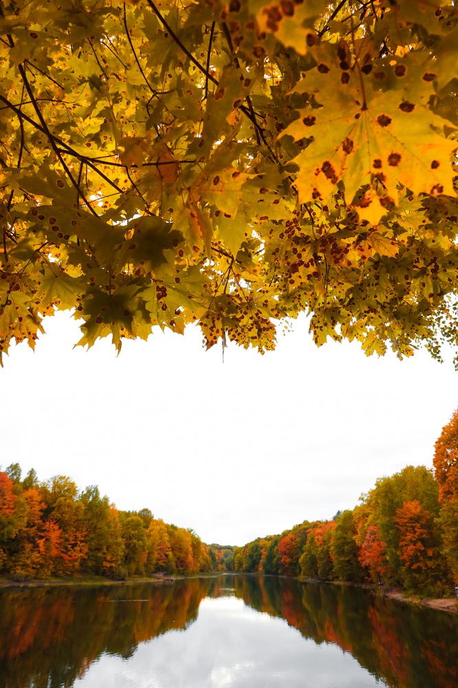 Фотография автора Nikita Dukhnik