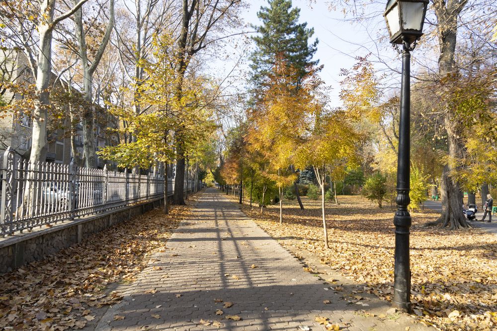 Фотография автора Ирина Зайцева