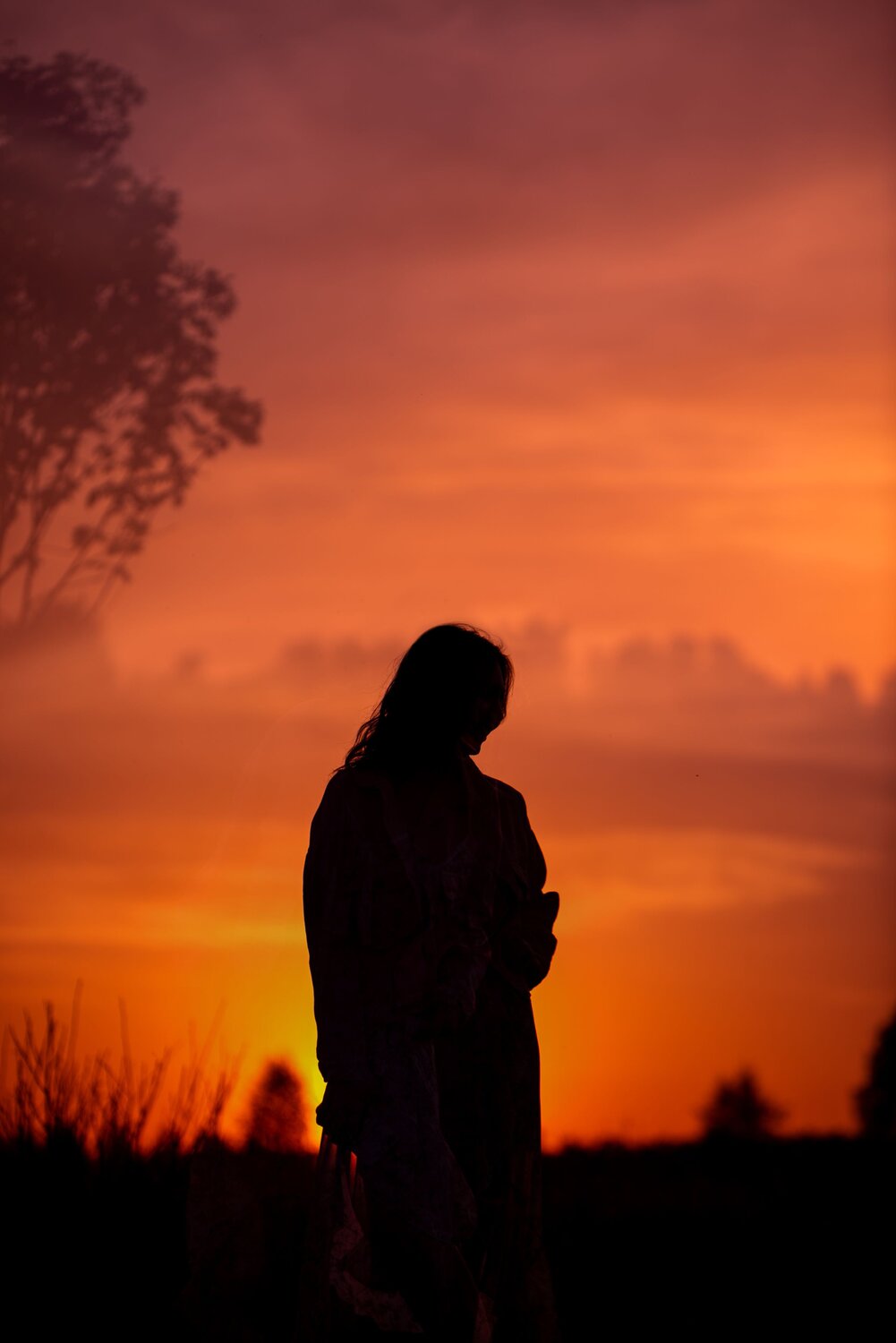 Photo #6752756