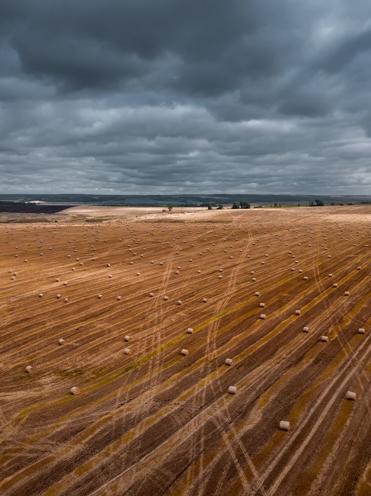 Фотография автора Nikita Dukhnik