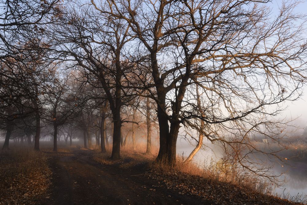 Фотография автора Игорь Баранов