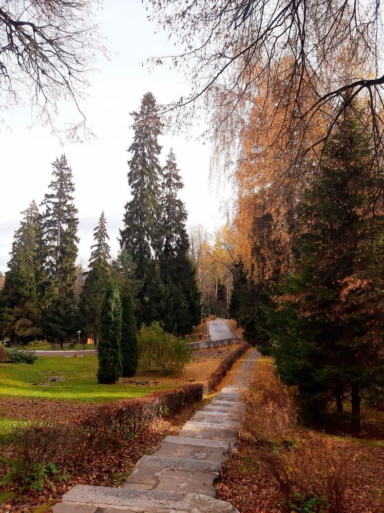 Осенний парк в санатории