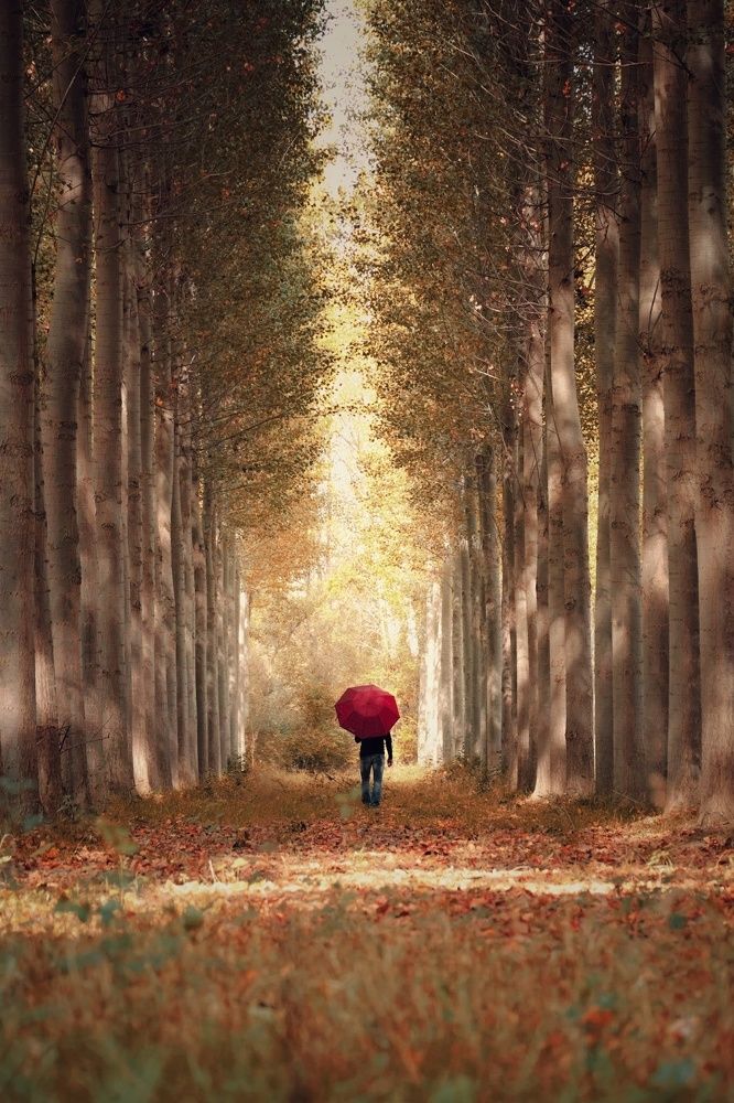 Photograph by Marian Lázaro