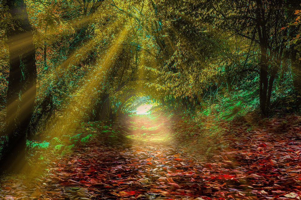 Photograph by Виктор Холодов