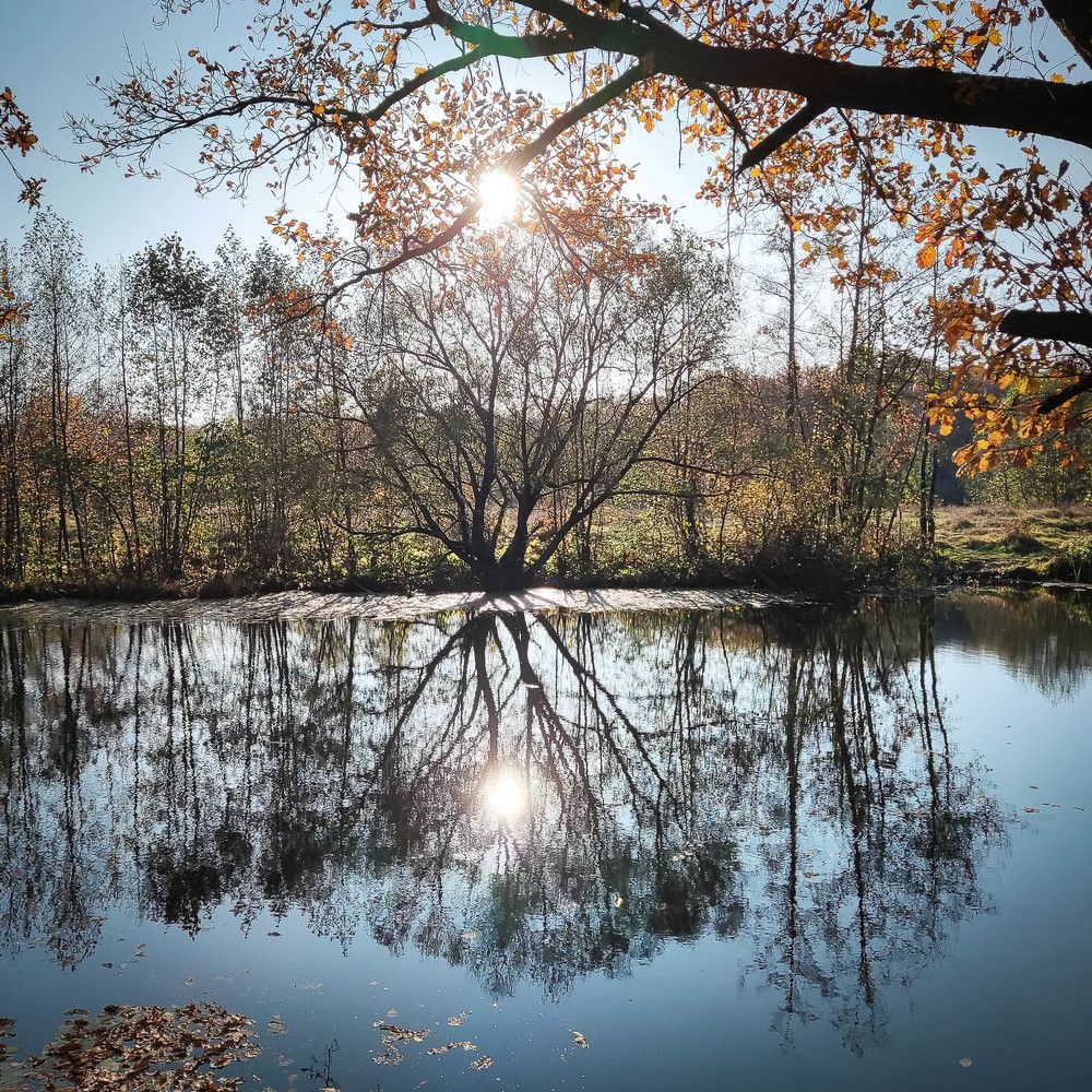 Photograph by Ирина Савенко