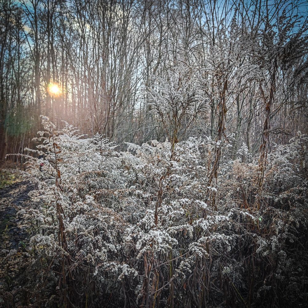 Photograph by Ирина Савенко