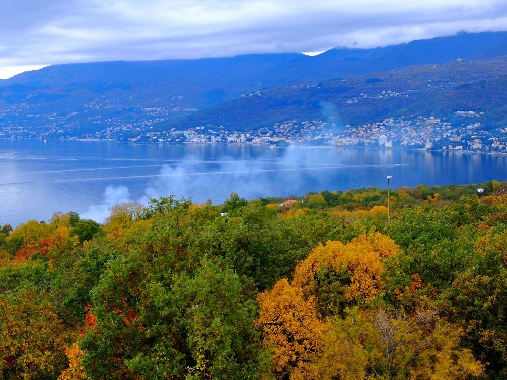 Photograph by ,Бурова Лариса