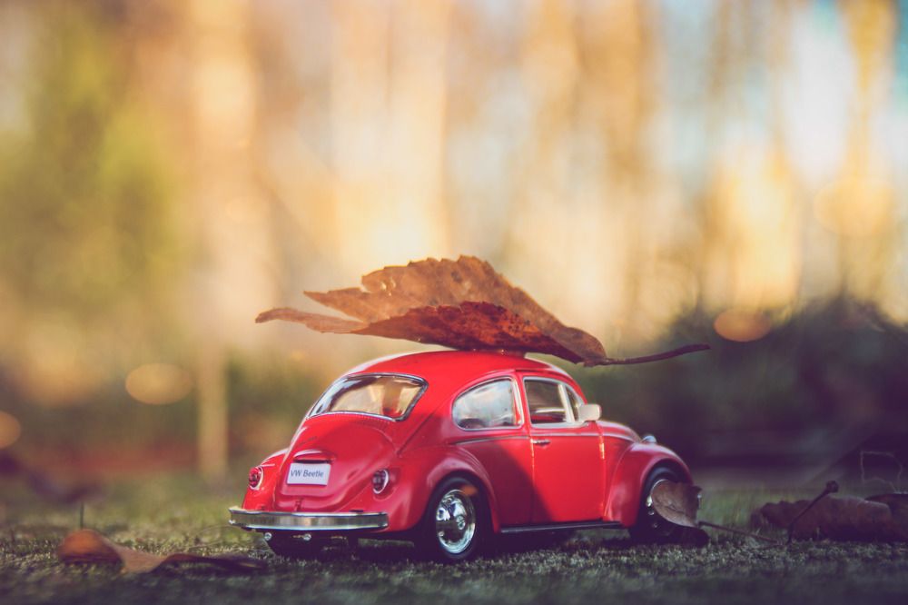 Photograph by Олег Догонов