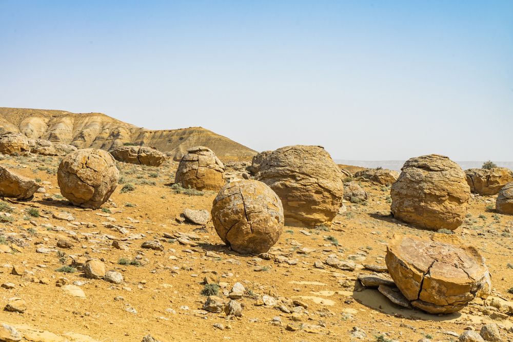 Photograph by Алла Дикань