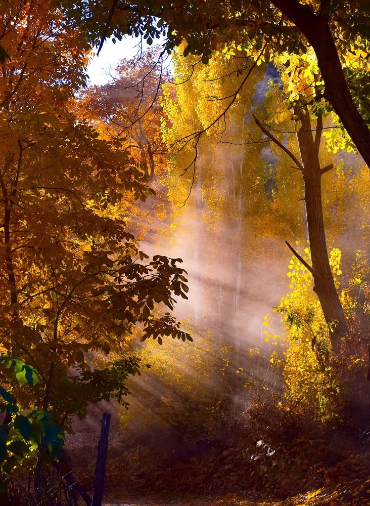 Photograph by Ehsan Fathi