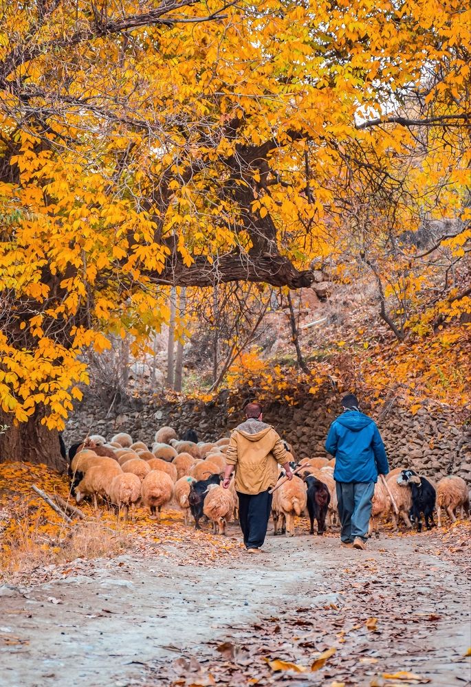 Photograph by Ehsan Fathi