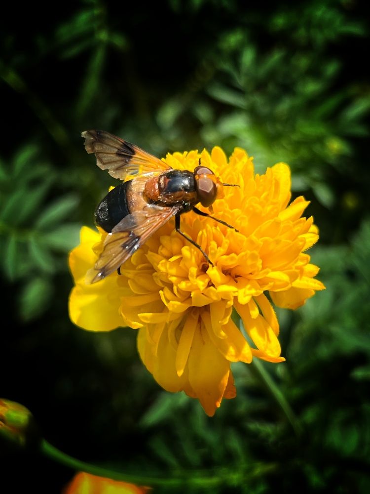Photograph by Юлия