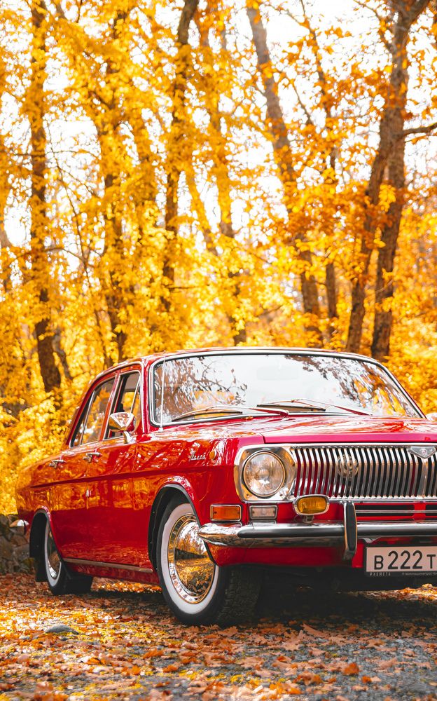 Photograph by Анастасия