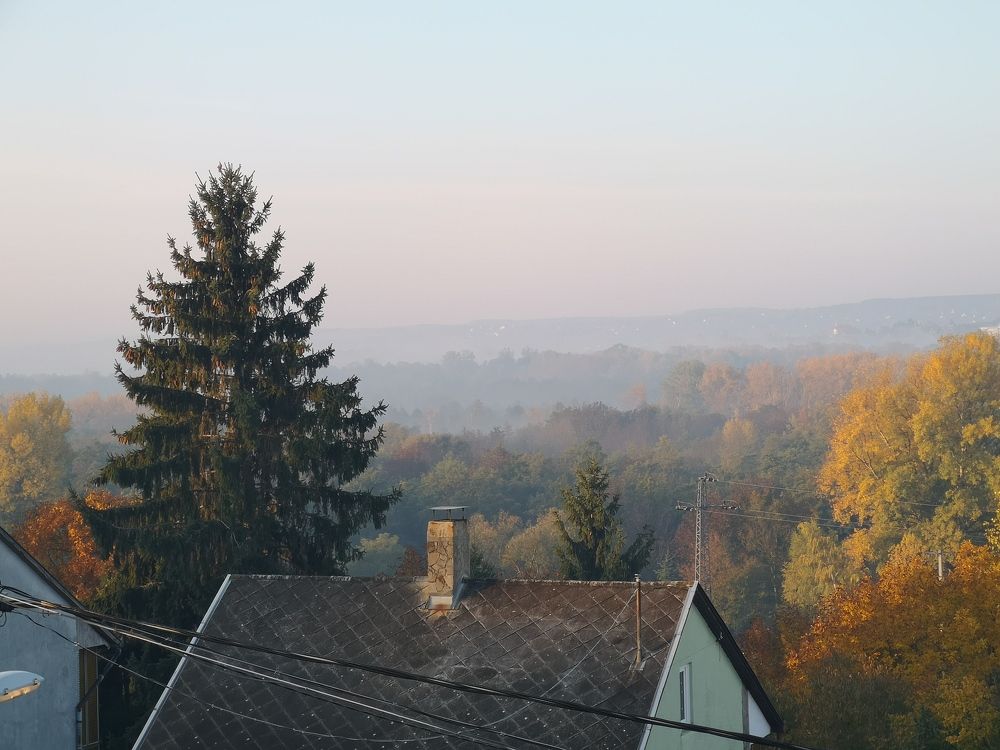 Photograph by Marina Razheva