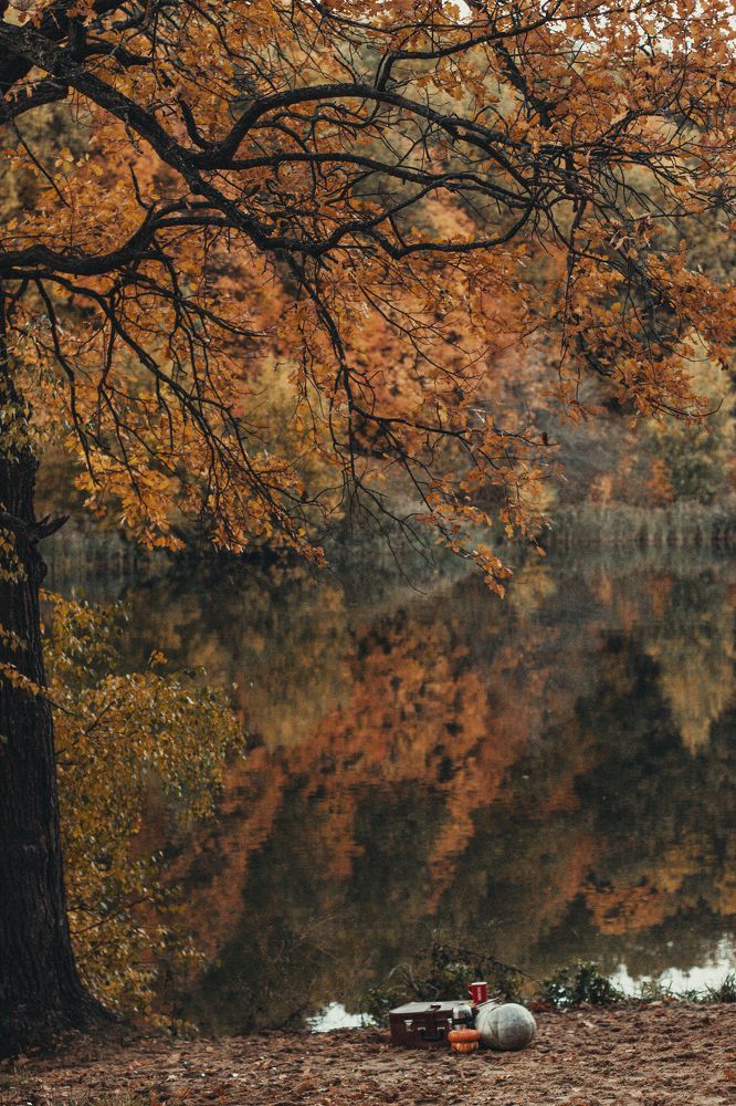 Photograph by Юлия Тигра