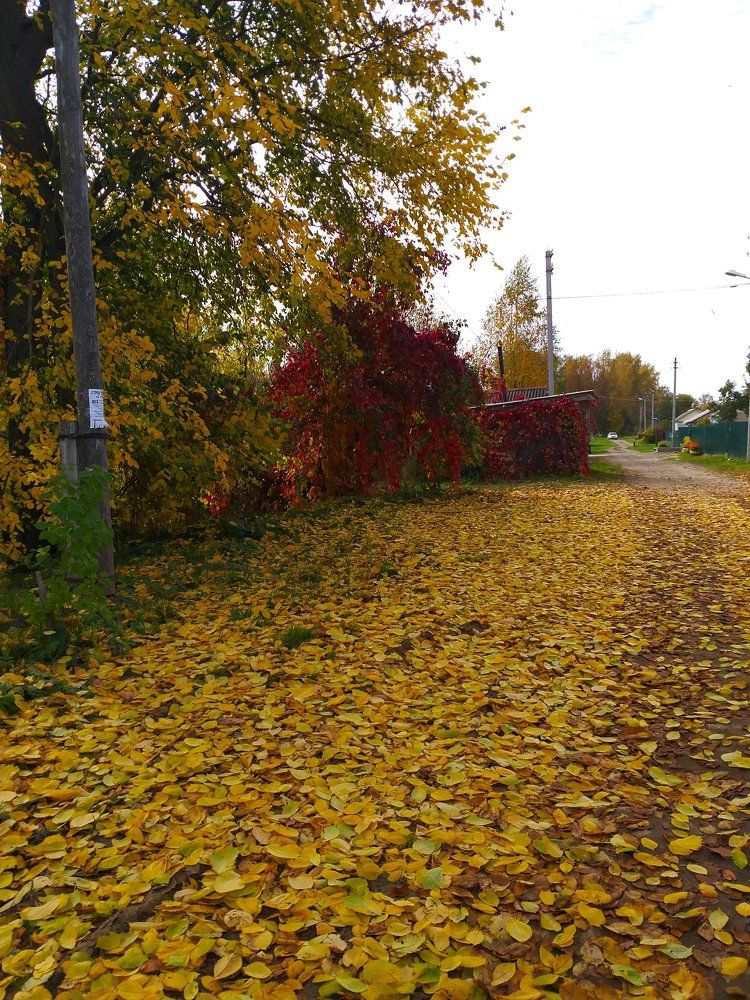 Photograph by Наташа Черепенина