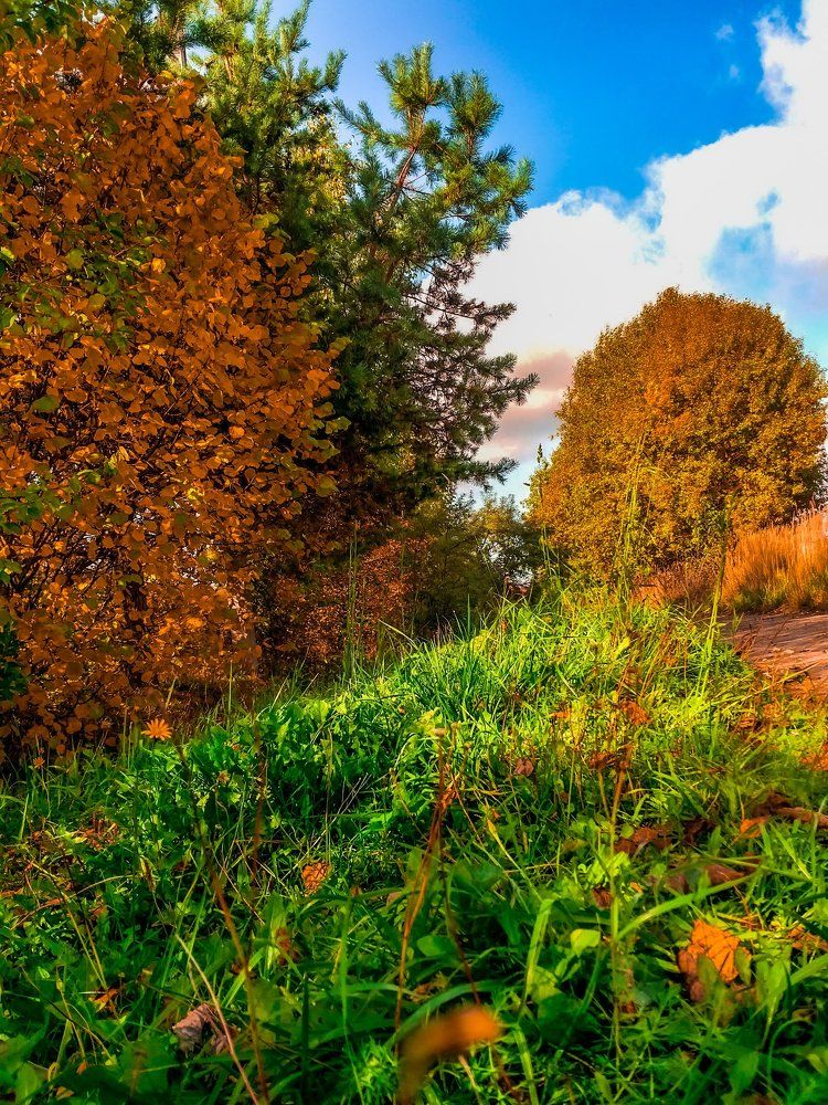 Photograph by Наташа Черепенина