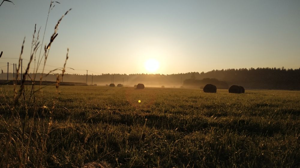 Photograph by Екатерина Мартынова