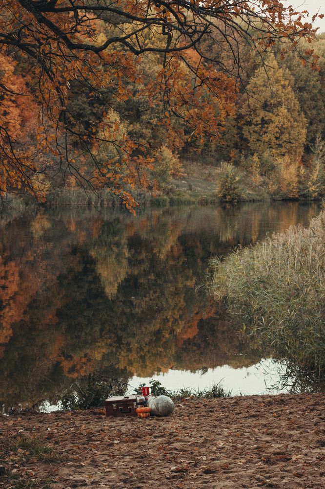 Photograph by Юлия Тигра