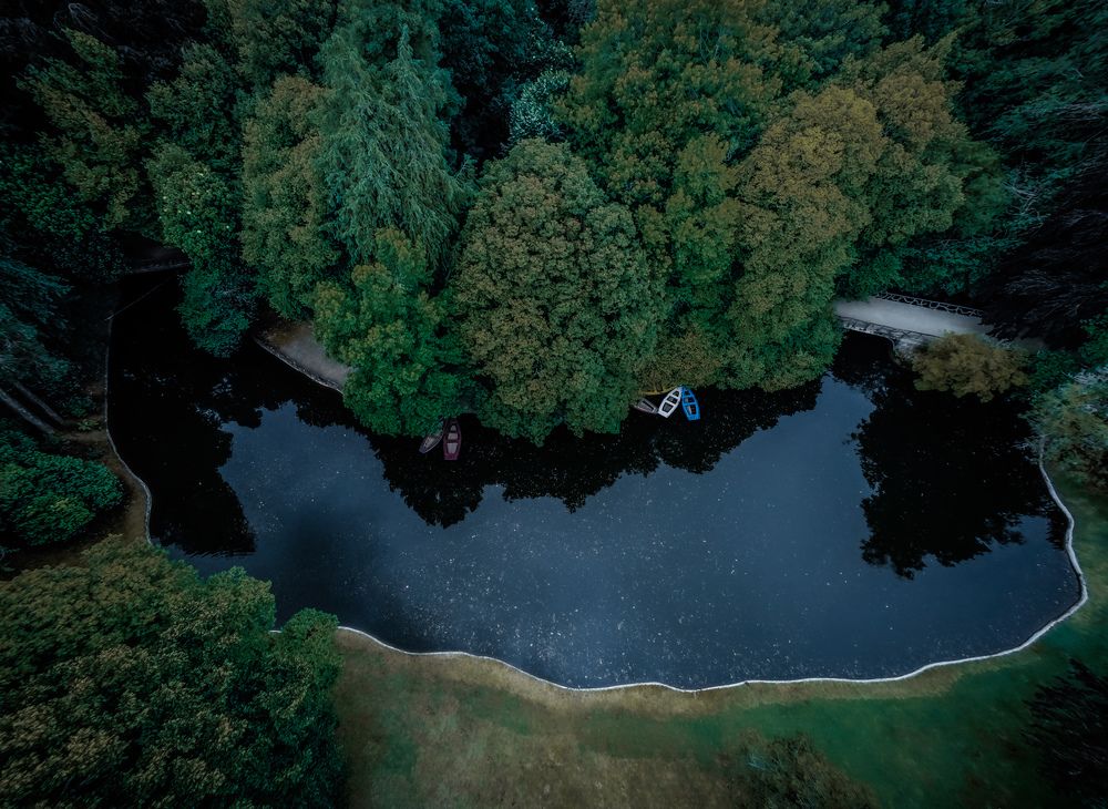 Photograph by Ângela Campos