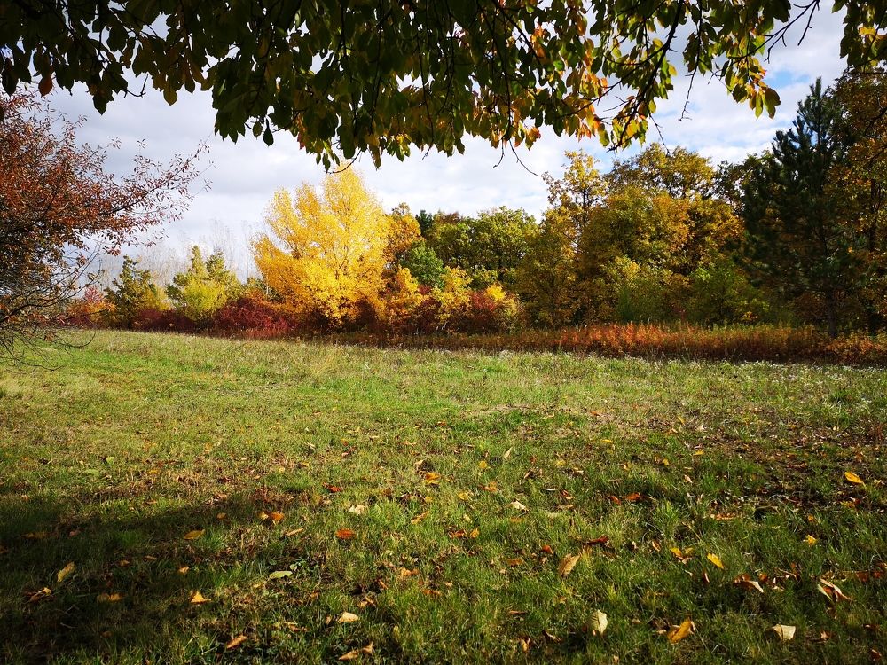 Photograph by Marina Razheva