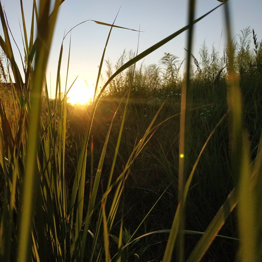 Photograph by Екатерина Мартынова