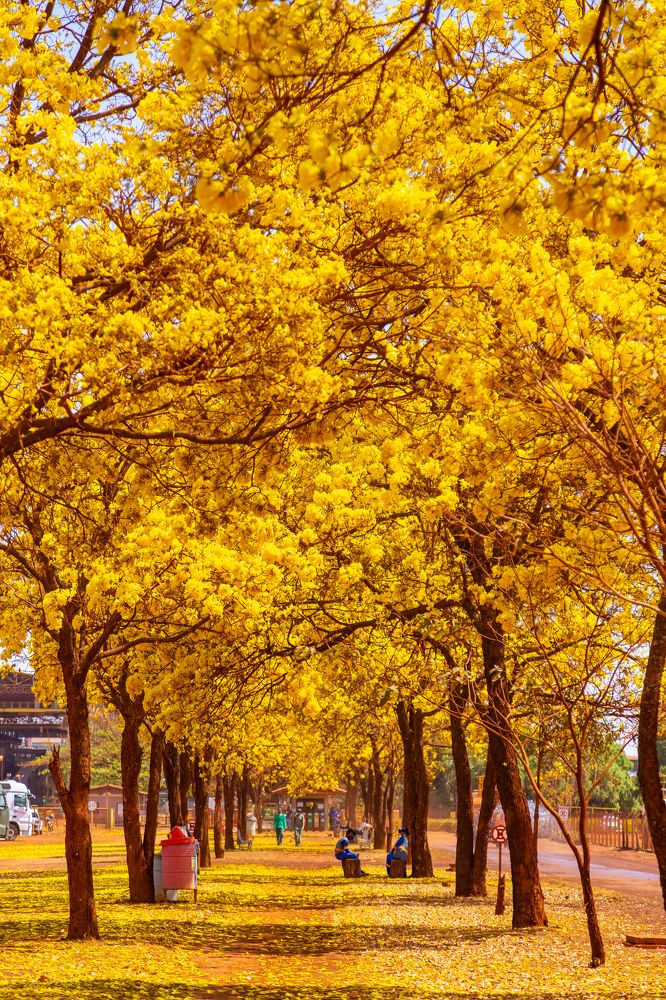 Photograph by ANGELA MACARIO