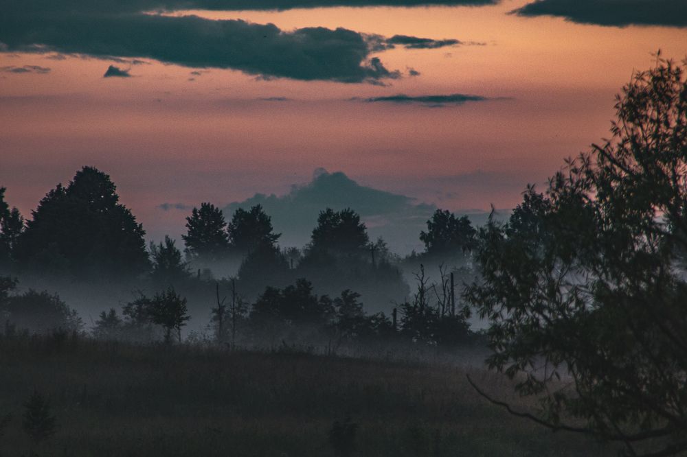 Photograph by Фёдор Викторов