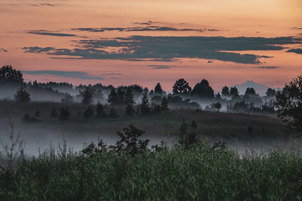 Photograph by Фёдор Викторов