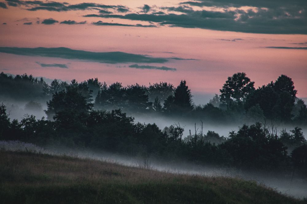 Photograph by Фёдор Викторов