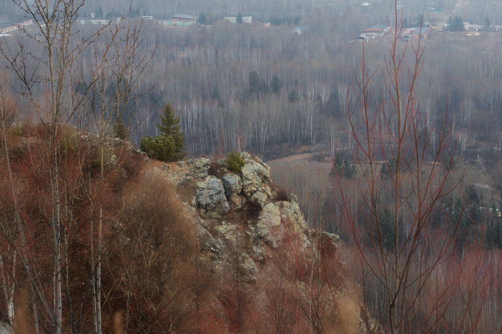 Photograph by Елена Ласун