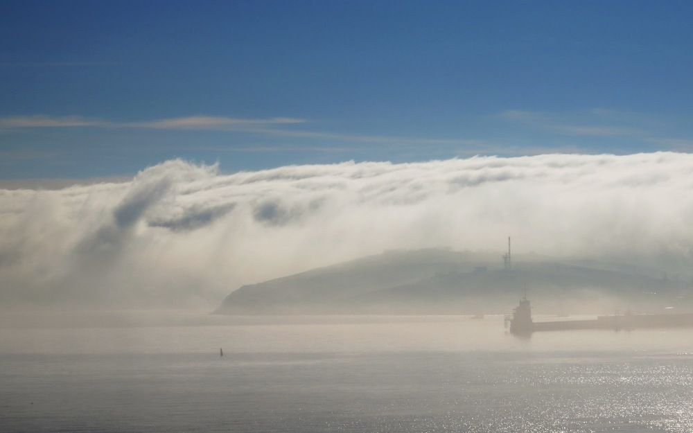 Photograph by Юлия Лужанина