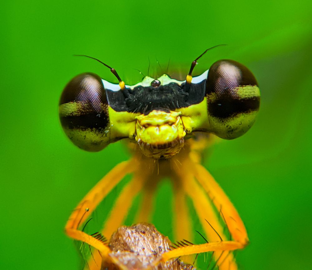 Photograph by Ajeesh A