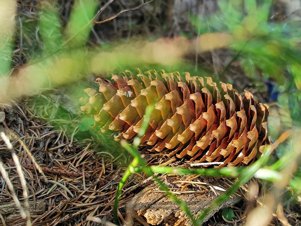 Photograph by Emőke Novák