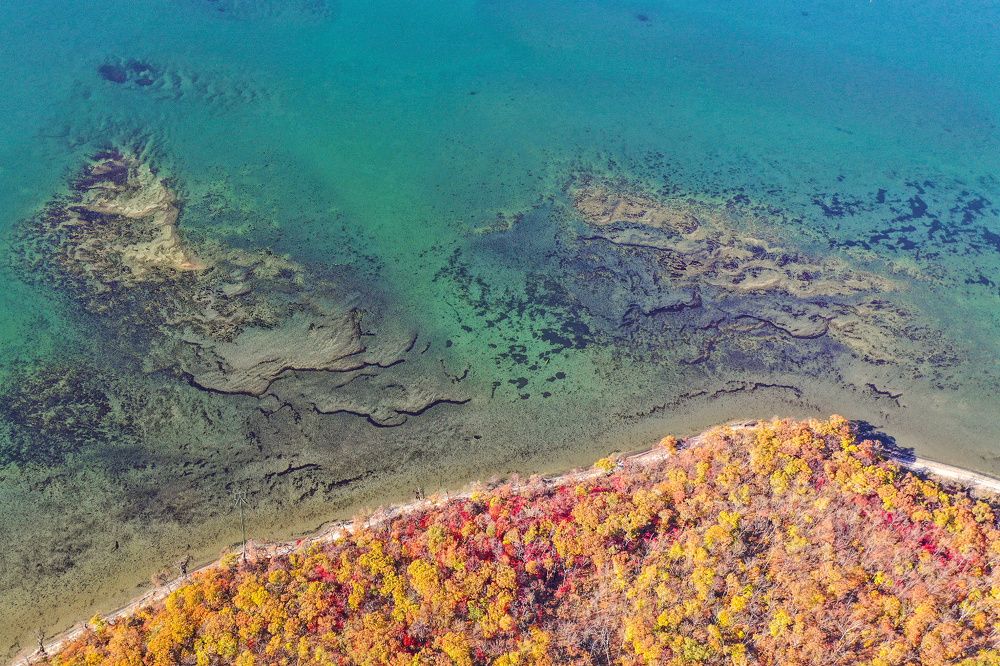 Лес и море / Forest and sea