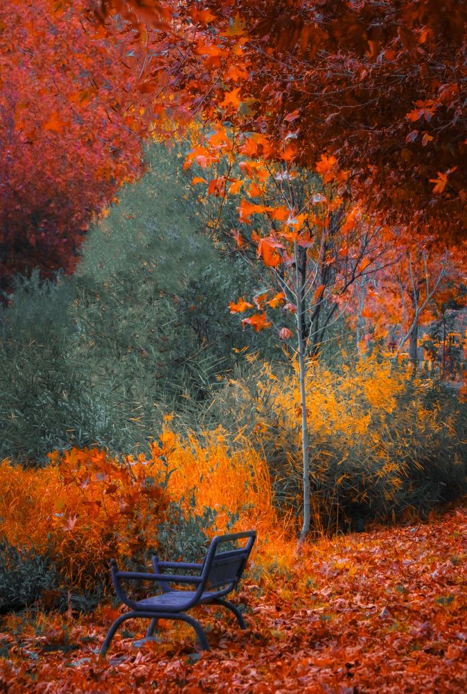 Photograph by Bayazidi Michael