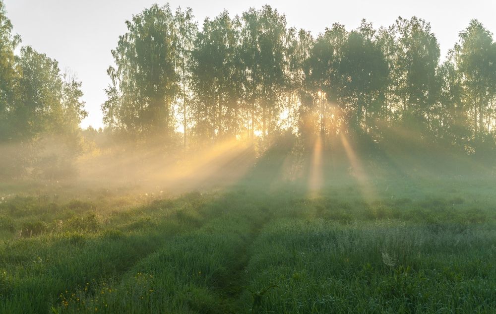Photograph by Андрей Папанов