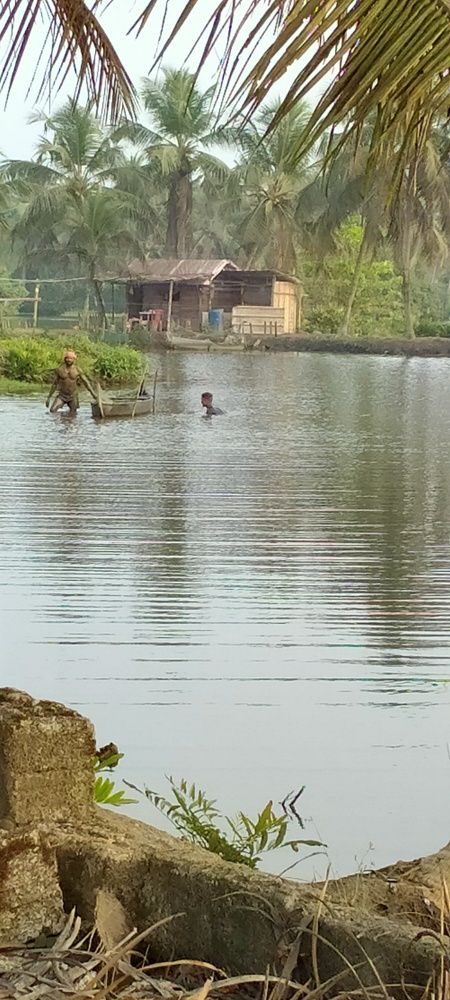 Photo #6753319