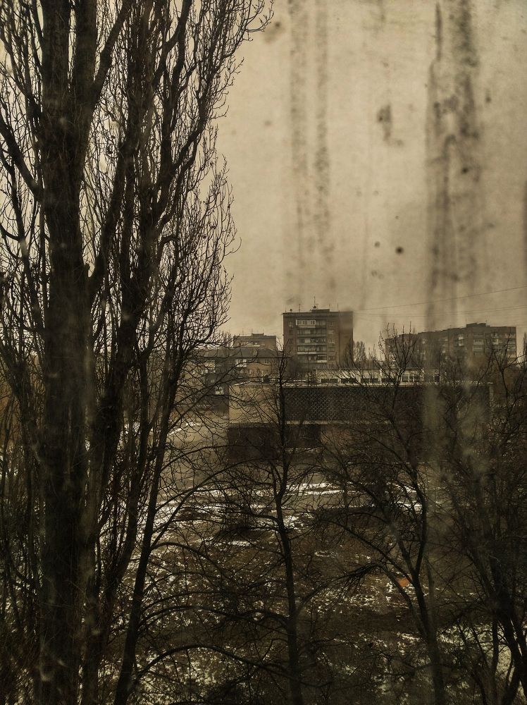 Photograph by Twizz Twizz