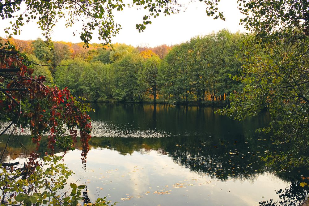 Андреевские пруды