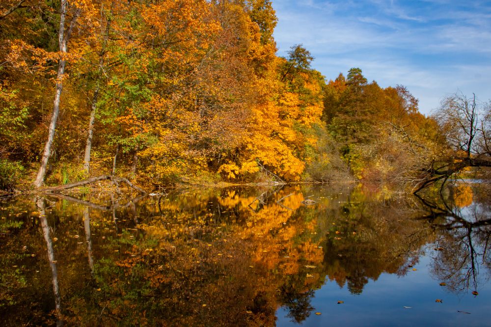 Photograph by Ольга Заповедная