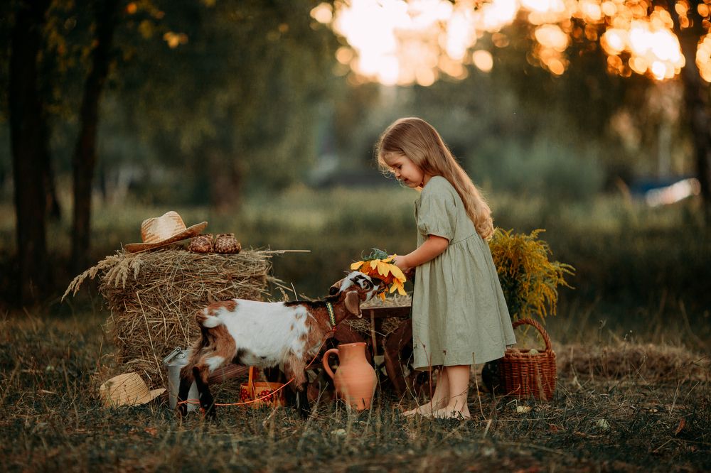 Photograph by Татьяна Новина